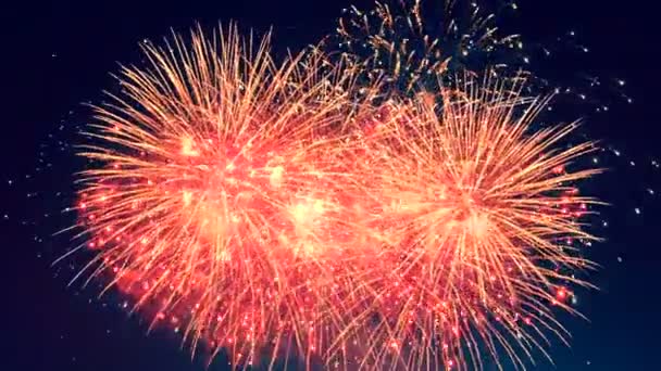Fogos de artifício coloridos. Feliz ano novo conceito . — Vídeo de Stock