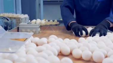 Ambalaj, yumurta süreci yakın.