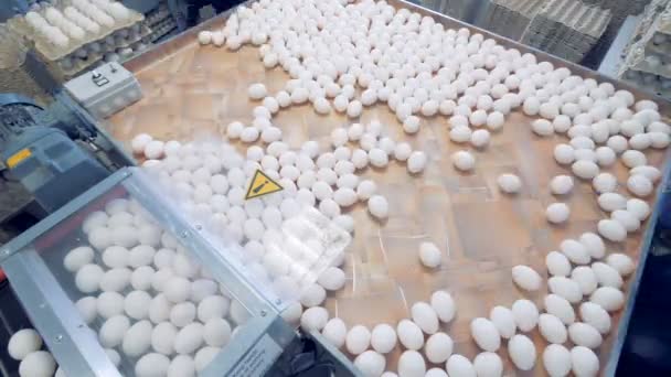 Processo de classificação de ovos em uma fazenda, vista superior . — Vídeo de Stock