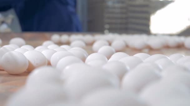 きれいな卵の農場で並べ替え、クローズ アップ。卵のパッキング養鶏場で働いている人. — ストック動画