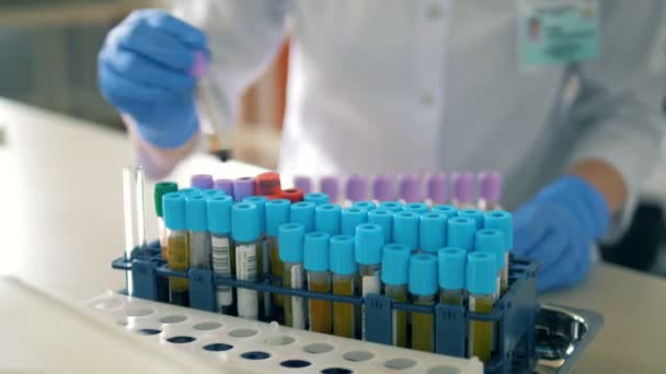 Laboratorium werknemer zet buisjes met bloed op een speciale lade op tafel. — Stockvideo