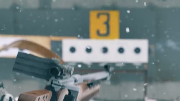 Biathlon athlete shooting, back view. — Stock Video