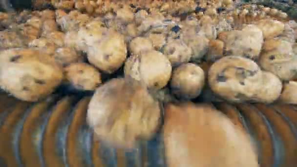 Spousta brambor klesají uvnitř zemědělské stroje v blízké nahoru