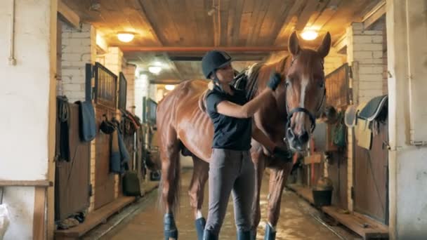Jockey femenino está cepillando la cresta de un caballo — Vídeo de stock