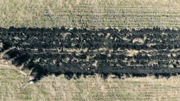 Tractor with a plough plowing a field. Aerial shot. — Stock Video