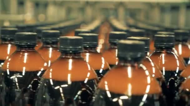 Garrafas com cerveja no transportador. Garrafas de plástico se movendo em uma linha de produção . — Vídeo de Stock