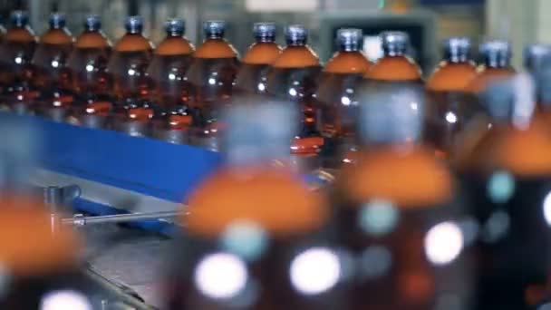Plastic bottles going on a factory line, close up. — Stock Video