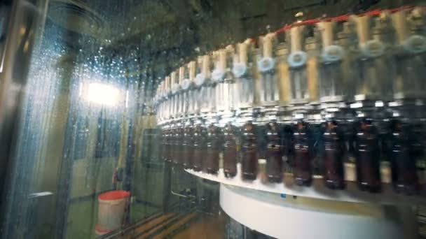 工場の機械は、ビールの瓶を塗りつぶし、クローズ アップ. — ストック動画