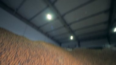 Patates bir depoda bir sürü yakın çekim.