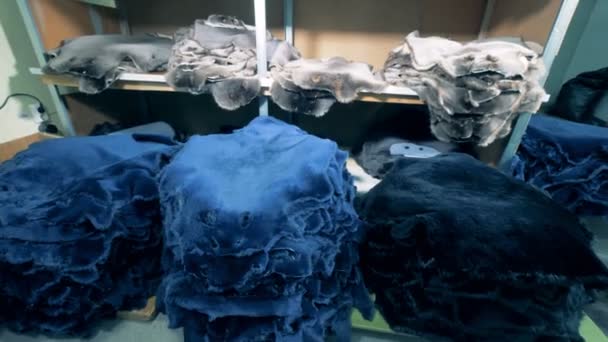 Beaucoup de peaux d'animaux dans une usine. Peau animale pour vêtements empilés dans une pièce . — Video