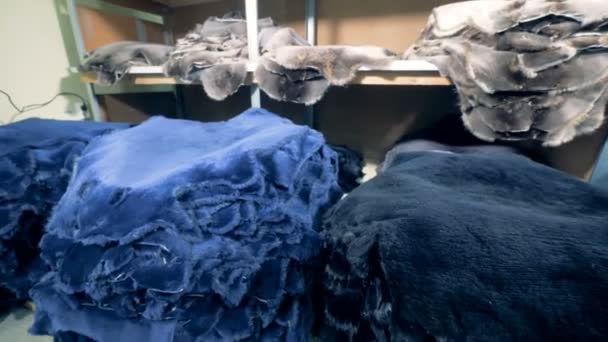 動物の毛皮の服。工場で細工された動物の皮. — ストック動画