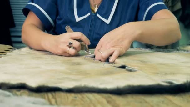 Mujer corta piel de animal en una mesa con un cuchillo, de cerca . — Vídeos de Stock