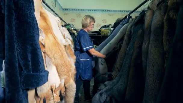 A person looking at fur hanging in a taloring room, close up. — Stock Video