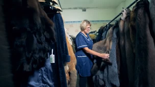 Il sarto controlla un sacco di pellicce su un appendiabiti, da vicino . — Video Stock
