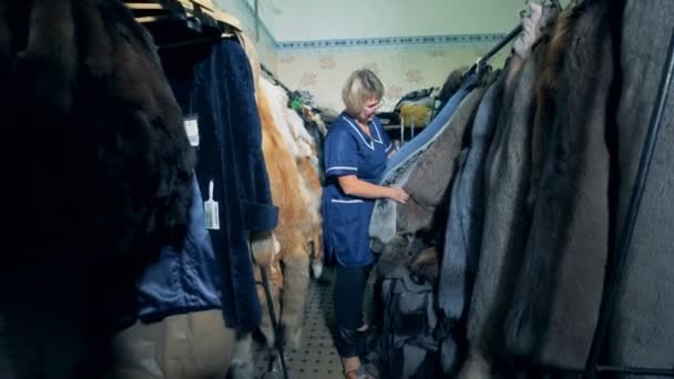Una donna che controlla pellicce di animali su una gruccia in una stanza, da vicino . — Video Stock