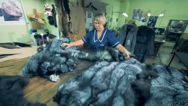 女性裁缝与动物皮草工作, 关闭. — 图库视频影像