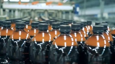 Birden çok plastik şişe bira konveyör hareket ediyor