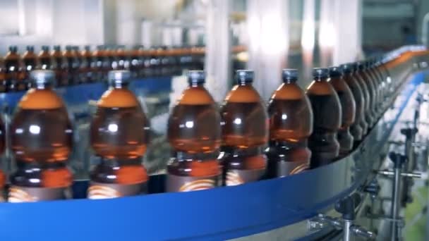 Пиво в пластиковых бутылках движется по конвейерной ленте подряд — стоковое видео