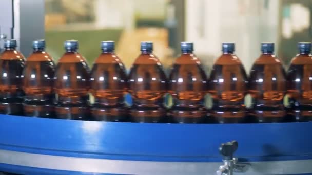 Reihe von mit Bier gefüllten Flaschen, die sich auf dem Förderband bewegen — Stockvideo