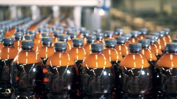 Egy csomó műanyag sörösüvegeket szerzés szállítja a szállítószalag — Stock videók
