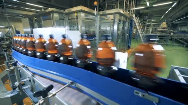 Damıtım tesislerinde bir konveyör bant ve o ileri hareketli bira şişesi ile — Stok video