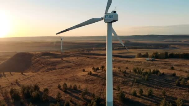 Sonnenbeschienene Landschaft Mit Mehreren Windmühlen Die Sich Drehen — Stockvideo