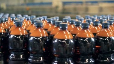 Bira şişeleri bir konveyör üzerinde bir sürü yakın çekim.