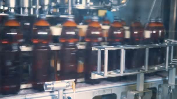 Many plastic bottles on a conveyor, close up. — Stock Video