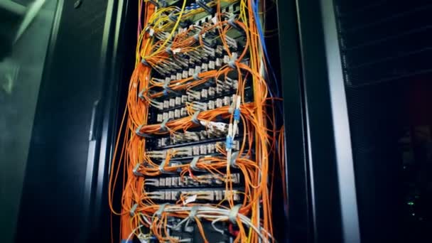 Een systeem met aangesloten kabels in een datacenter geplaatst. 4k. — Stockvideo