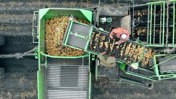 Vista aérea de cosechadora. Trabajadores agrícolas que trabajan recogiendo cultivos de patatas . — Vídeo de stock