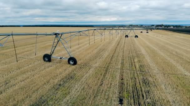 Amplia pradera con cultivos en crecimiento y un sistema de rociadores instalado en ella — Vídeo de stock