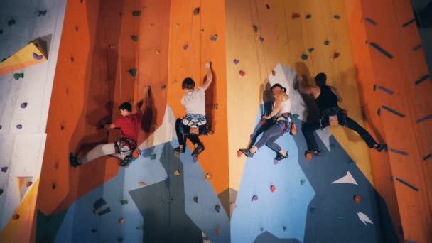 Desportistas em uma parede de escalada moderna, de perto . — Vídeo de Stock