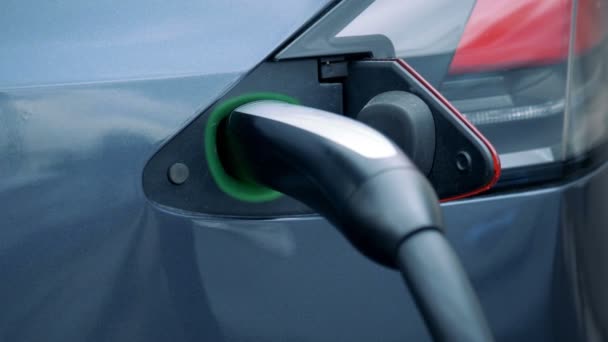 Illuminated socket of an electrocar with a plugged-in nozzle — Stock Video