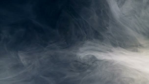 Mlha je kroužení v silné vrstvě — Stock video