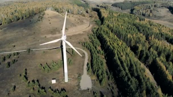 Elektriciteit windgenerator werkt op de achtergrond van een bos. Alternatieve energieconcept. — Stockvideo