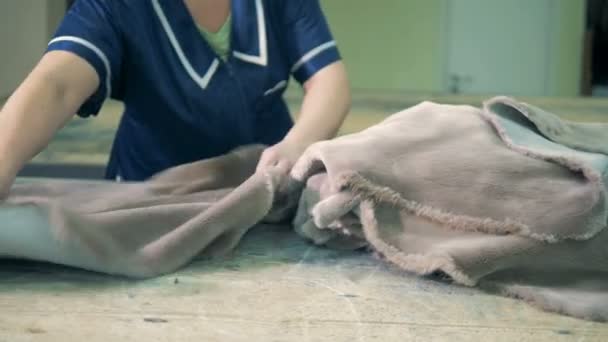 Les peaux à fourrure sont redressées par les mains d'une ouvrière — Video