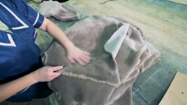 Hayvan derileri bir kadın uzmanı tarafından smoothened — Stok video