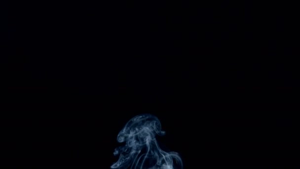 Fog, isolated smoke on a black background — Stock Video