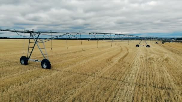 Una macchina per l'irrigazione si trova su un campo, da vicino . — Video Stock
