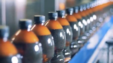 Plastik şişe bira ile dolu bol konveyör bant hareket ediyor