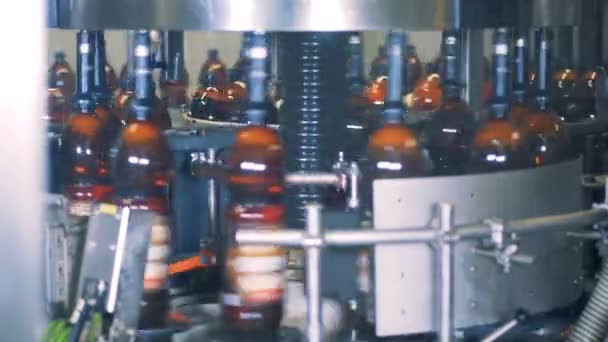 Flessen gevuld met bier draaien in een fabriek machine — Stockvideo