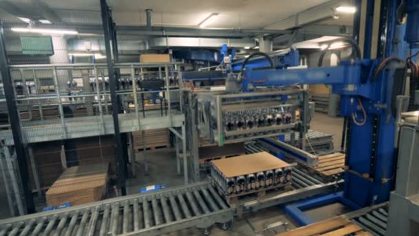 Unidade fabril produtora de cerveja com embalagens de garrafas a serem montadas — Vídeo de Stock