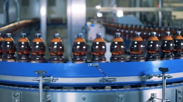 Filled beer bottles are being transported around the conveyor belt — Stock Video