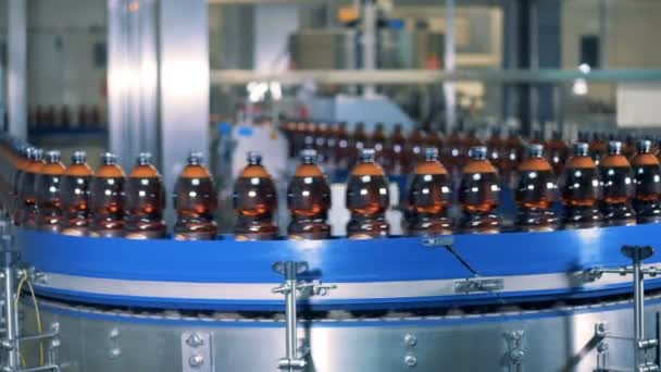 Trasportatore circolare con una fila di bottiglie di birra che si muovono lungo di esso — Video Stock
