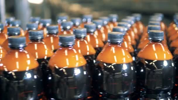 Многие пластиковые бутылки с пивом движутся вдоль транспортного механизма — стоковое видео