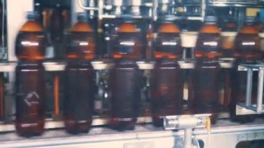 Kahverengi plastik şişe bira ile dolu konveyör hareket ediyor