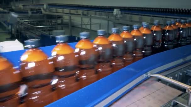 Mecanismo de fábrica que transporta un montón de botellas de cerveza — Vídeos de Stock
