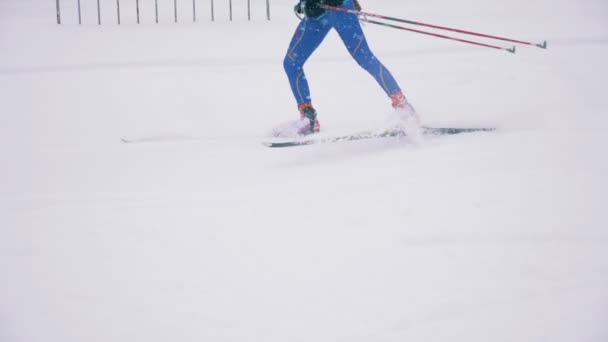 Россия, 05 марта 2018, тренировочный процесс по биатлону. Биатлонисты ноги во время катания на лыжах по снегу — стоковое видео