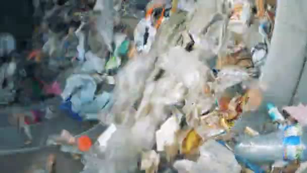 Poubelles en plastique dans une trieuse, gros plan . — Video