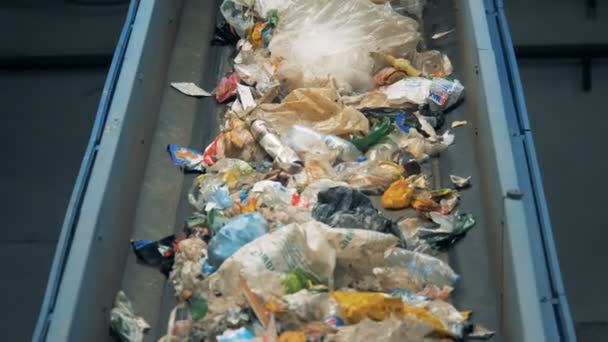 Des déchets en plastique sur un convoyeur. Déchets recyclables va sur un convoyeur à une usine . — Video